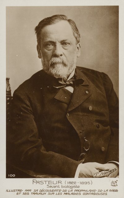 Louis Pasteur (1822-1895), französischer Chemiker und Mikrobiologe von French Photographer